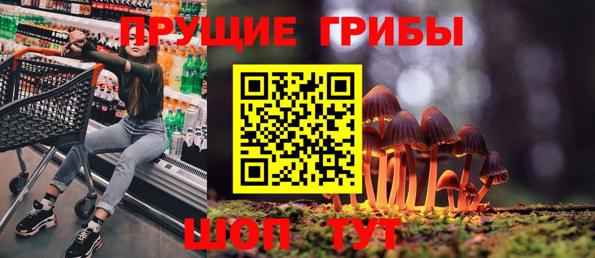 Галлюциногенные грибы Psilocybine cubensis  Вход с VPN  Псилоцибиновые грибы Psilocybine cubensis  Карталы 